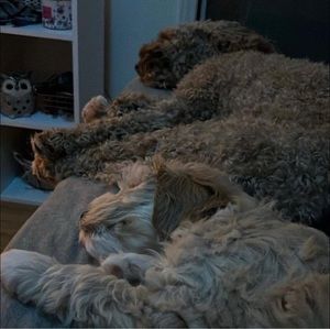 Meet your Posher, Jayden